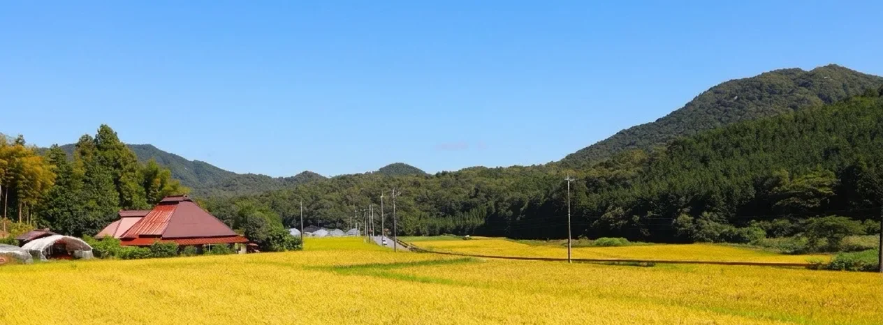 徳地白石山ファーム