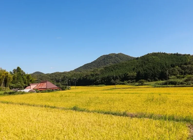 徳地白石山ファーム